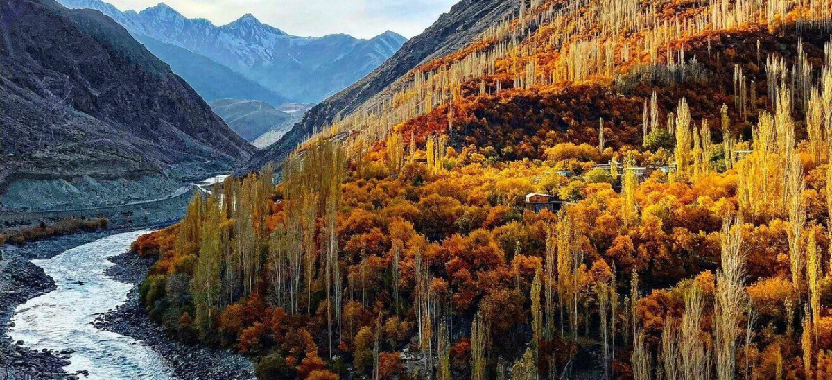 Climate of Leh: Year-Round Temperature Guide